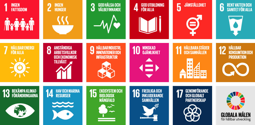 Bild på de 17 globala målen. 