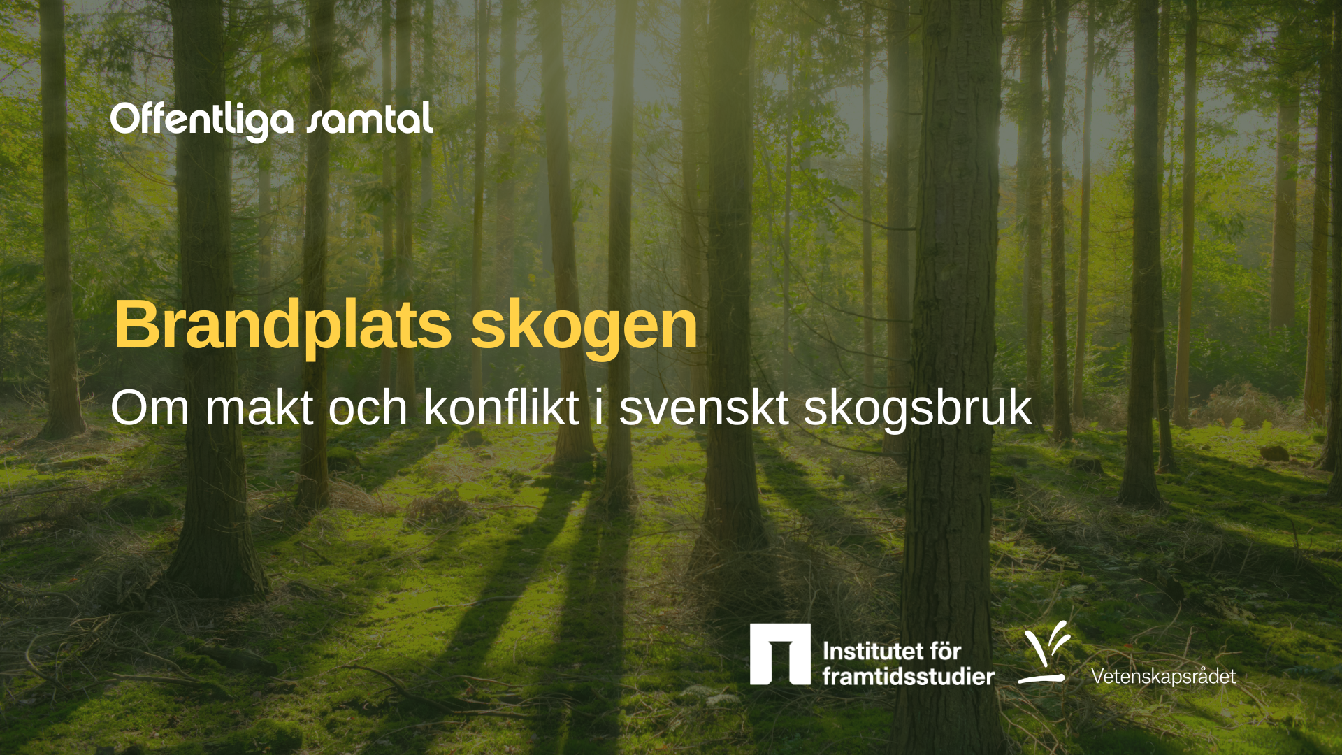 Foto av träd i en skog. I bilden står texten brandplats skogen, om makt och konflikt i svenskt skogsbruk.